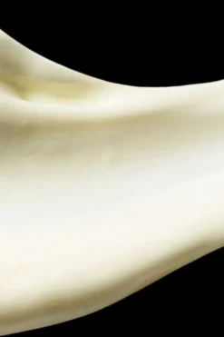 Antipodes Kasvojenhoito<Kiwi Seed Oil Eye Cream 30 ml