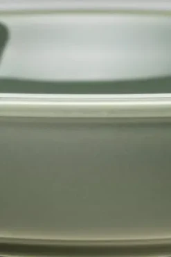 Online 24H ikivihreä syvä lautanen 22cm Lautaset