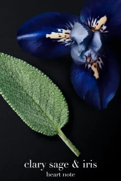 Sale Code Parfum tuoksu 50 ml Tuoksut