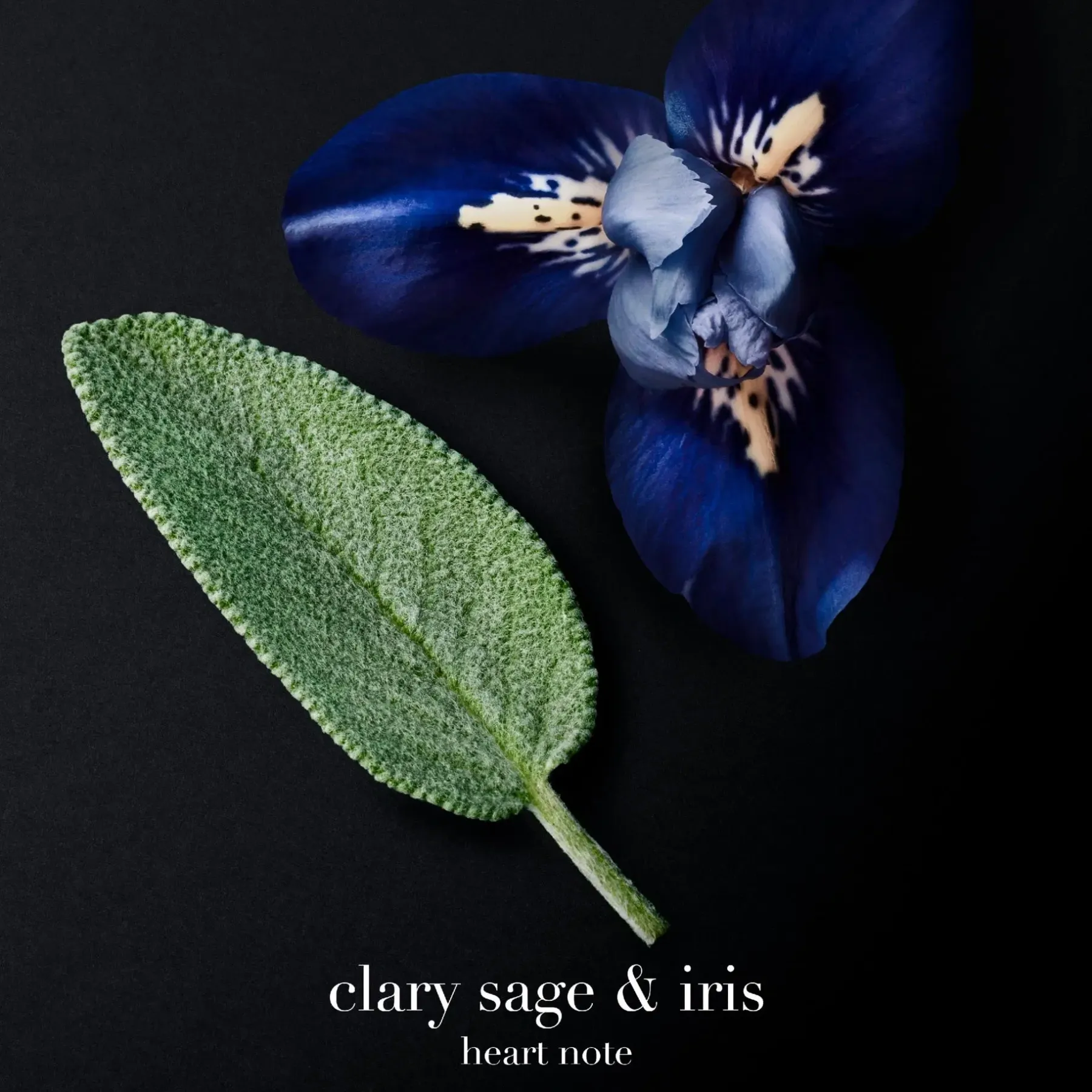 Sale Code Parfum tuoksu 50 ml Tuoksut