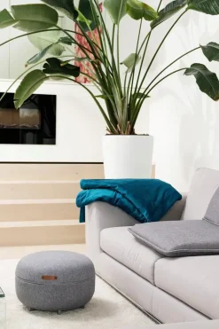 Beurer Kivunlievityslaitteet<Shiatsu-jalkahieroja FM120 2-in-1