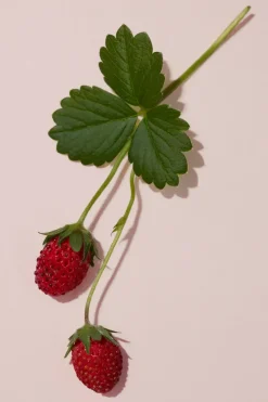 Burberry Hajuvedet<Her Parfum Intense -tuoksu 30 ml