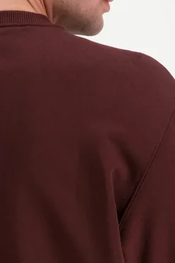 Online Ls eu 350terry monologo cn college Oloasut|Colleget