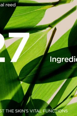 Clarins Kasvojenhoito<DOUBLE SERUM Light Texture seerumi 30ml