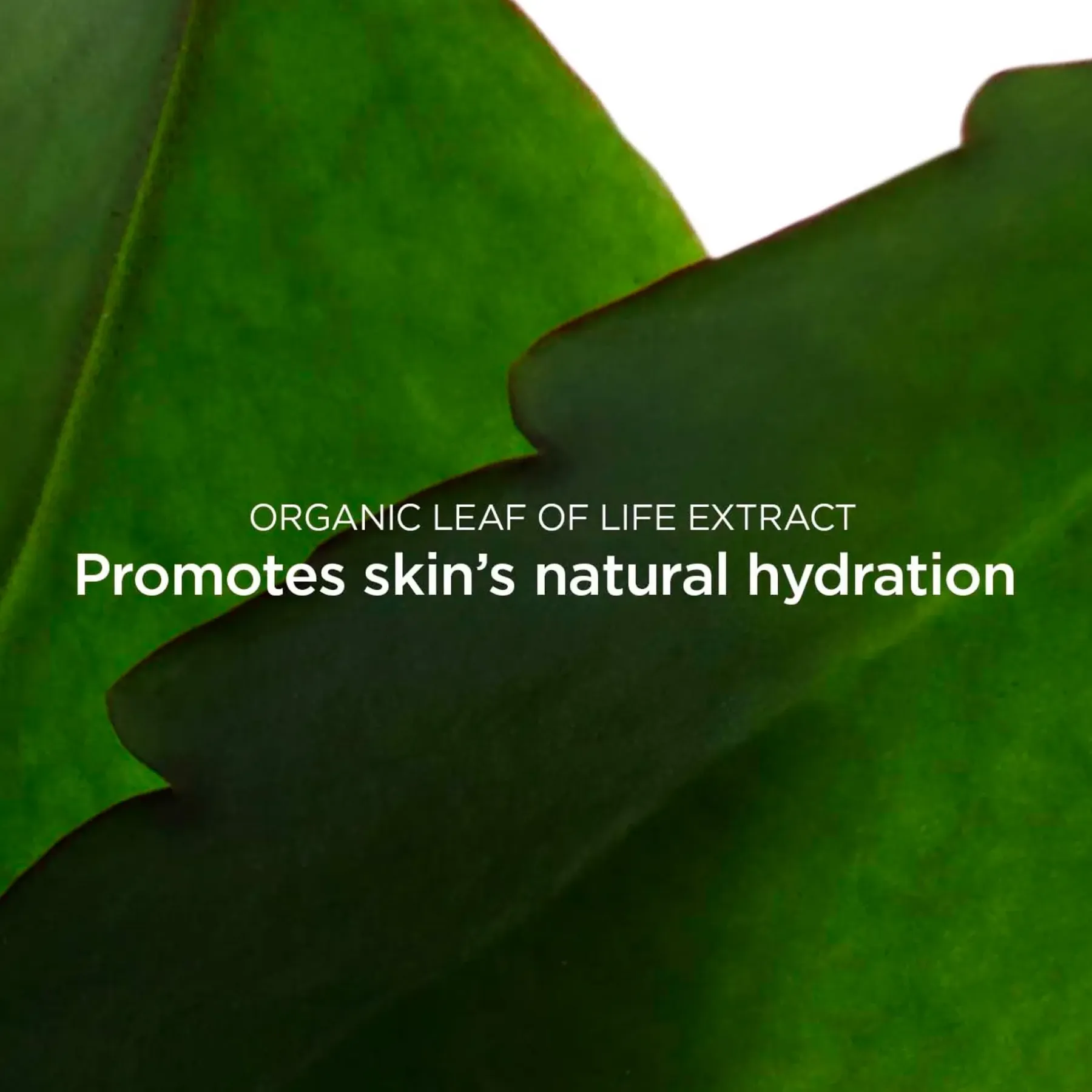 Online Fresh Scrub kasvokuorinta 50ml Kasvojenhoito