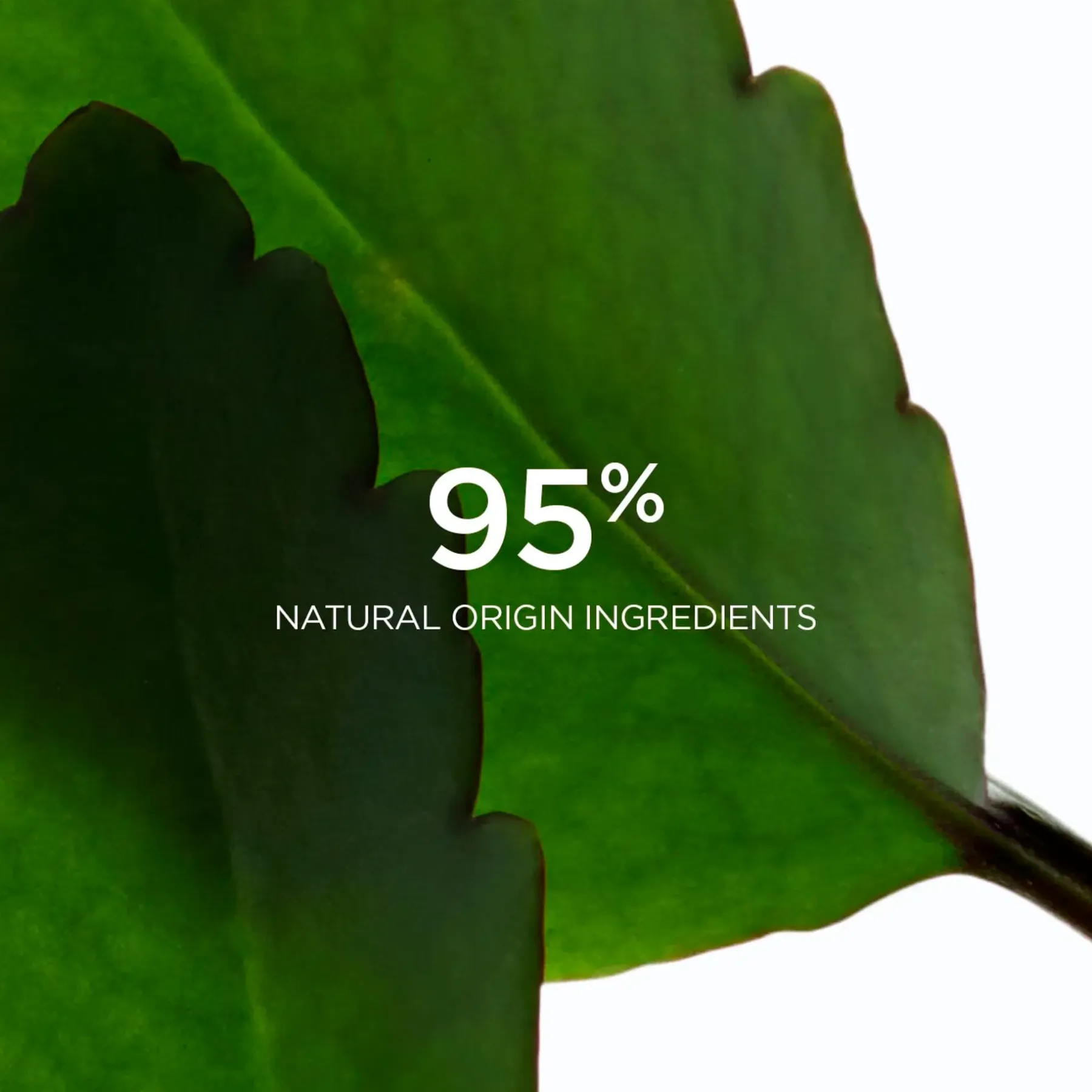 Online Fresh Scrub kasvokuorinta 50ml Kasvojenhoito