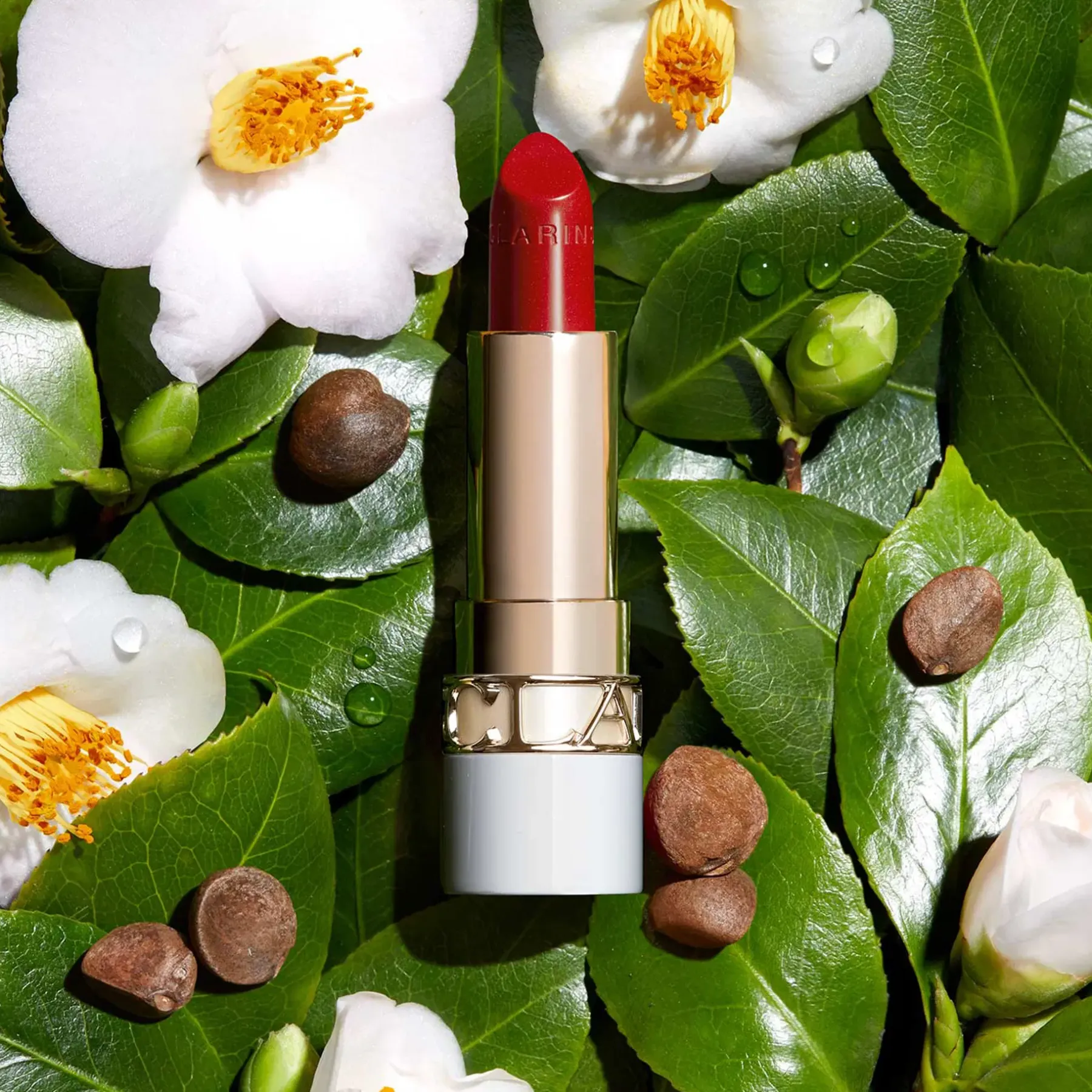 Clarins Huulimeikit<Joli Rouge Shine huulipuna 3,5 g