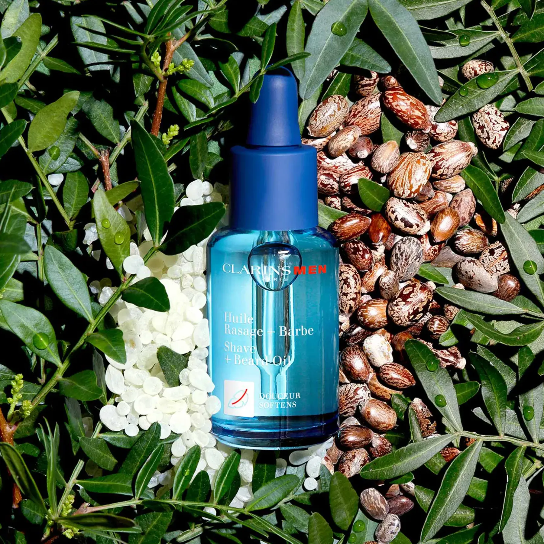 Online Shave and Beard Oil partaöljy 30 ml Parranajo