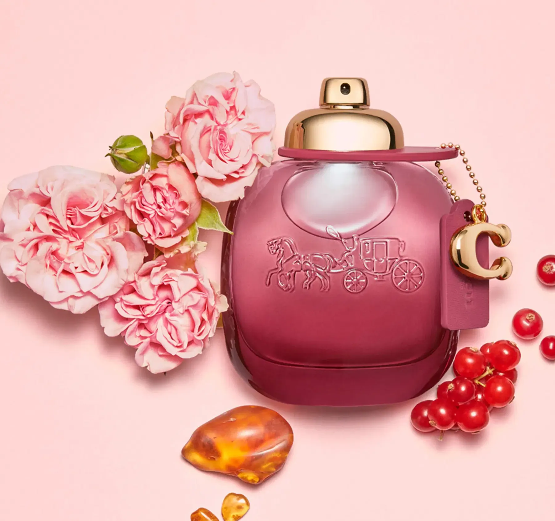Coach Hajuvedet<Wild Rose EdP tuoksu 30 ml