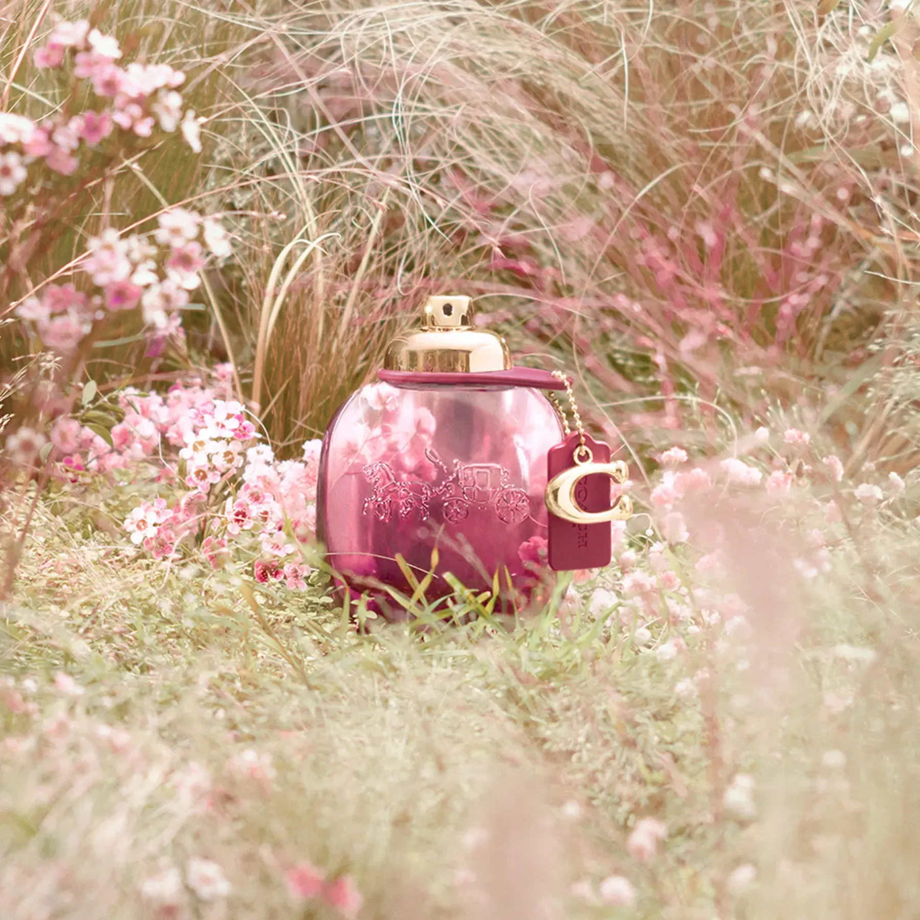 Coach Hajuvedet<Wild Rose EdP tuoksu 30 ml