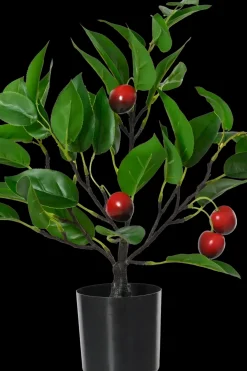 Decoris Koriste-esineet<Sisustuskasvi Kirsikkapuu 38x36x48 cm