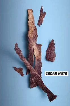 Diesel Tuoksut<Only the Brave Deodorant Spray suihkedeodorantti 150 ml