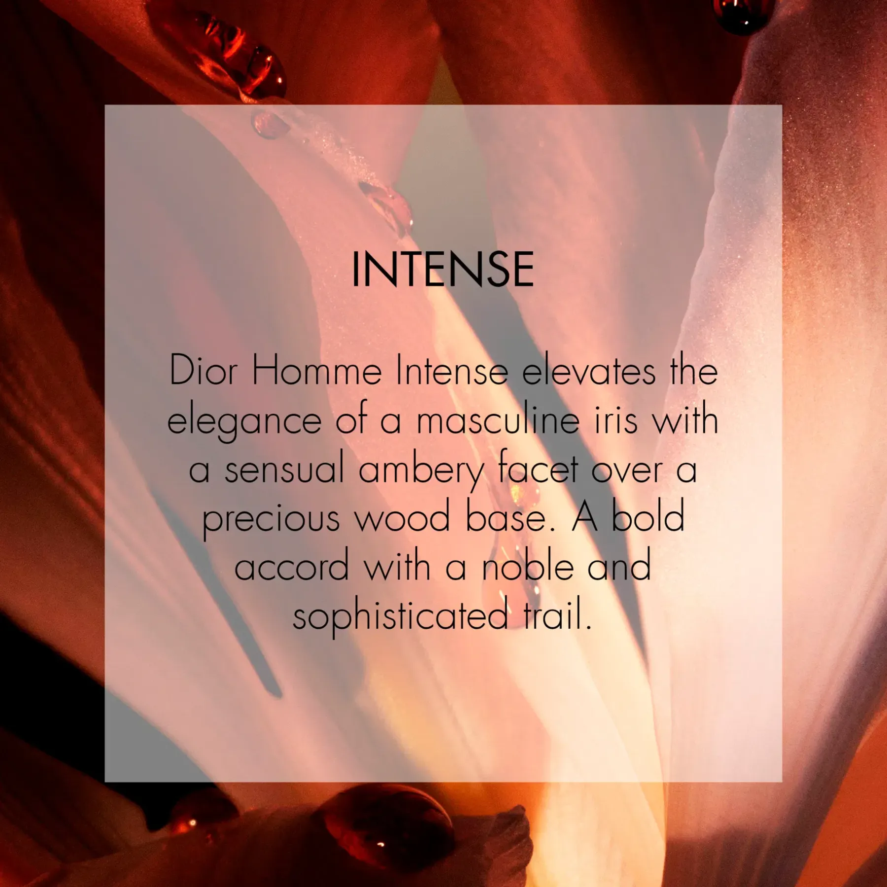 Best Homme Intense Eau de Parfum 150ml Tuoksut