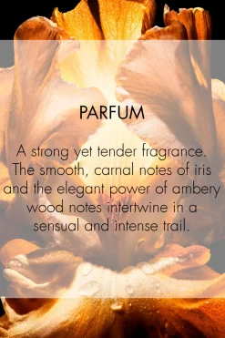 DIOR Tuoksut<Homme Parfum Fragrance - Ambery, Woody and Floral Notes 75ml