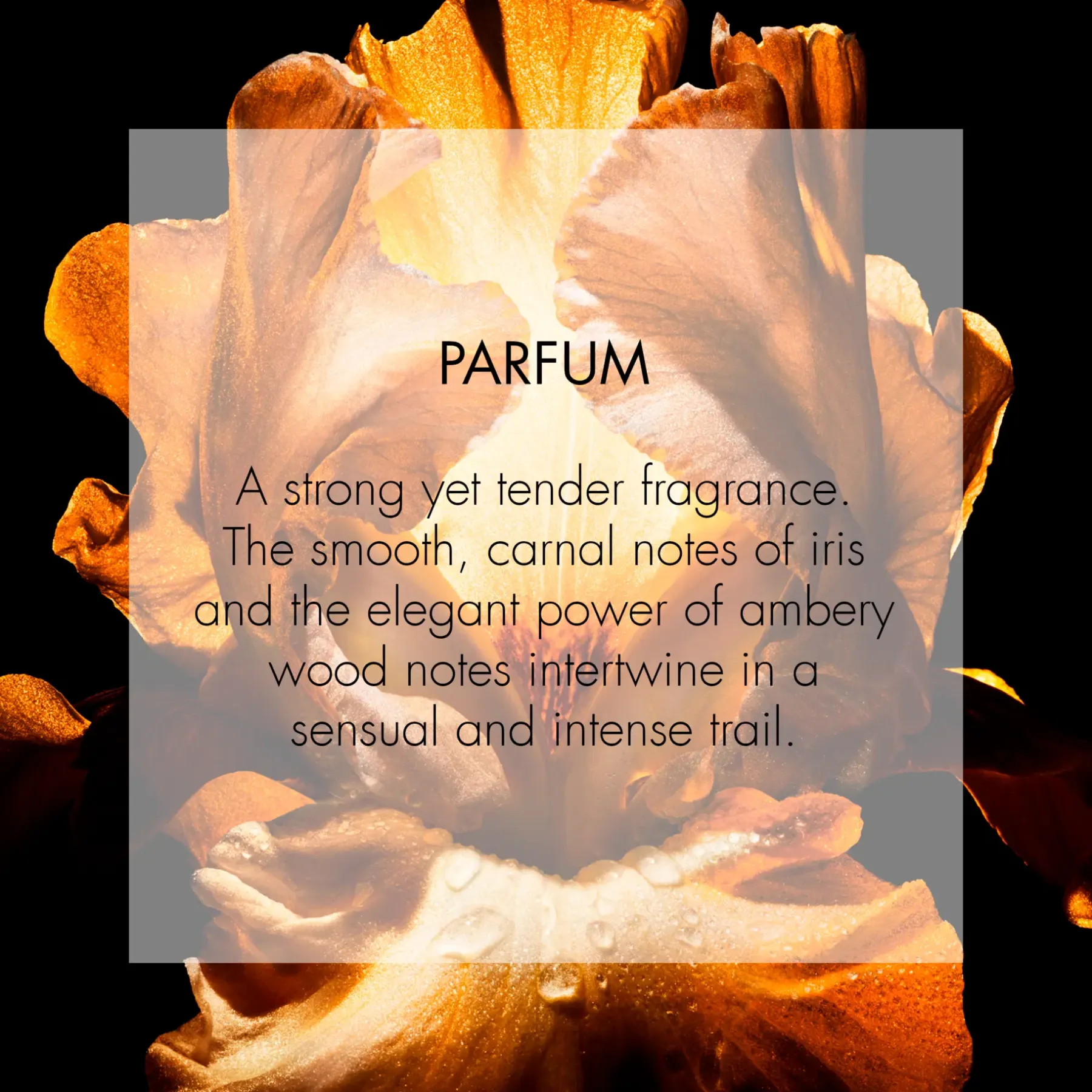 DIOR Tuoksut<Homme Parfum Fragrance - Ambery, Woody and Floral Notes 75ml