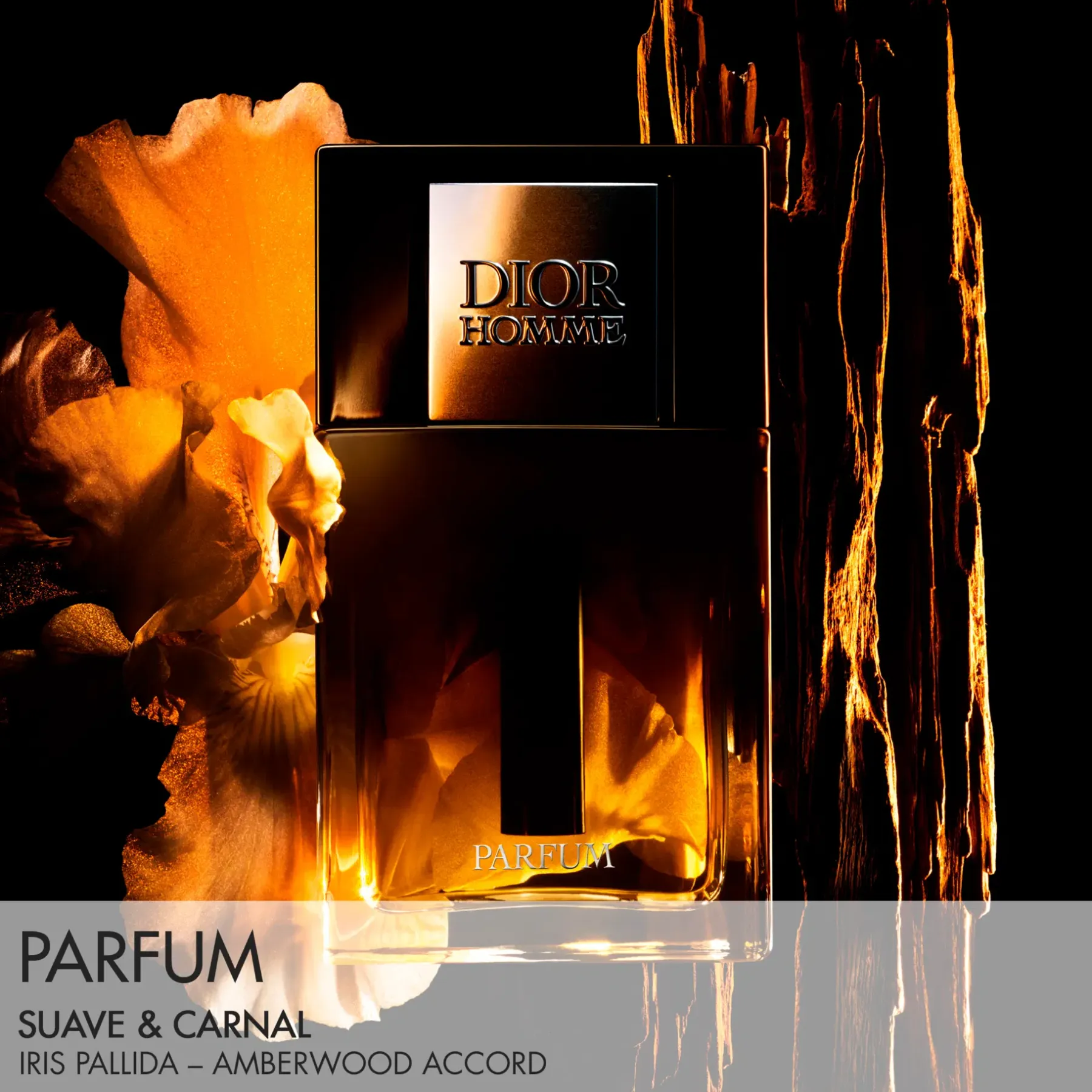 DIOR Tuoksut<Homme Parfum Fragrance - Ambery, Woody and Floral Notes 75ml