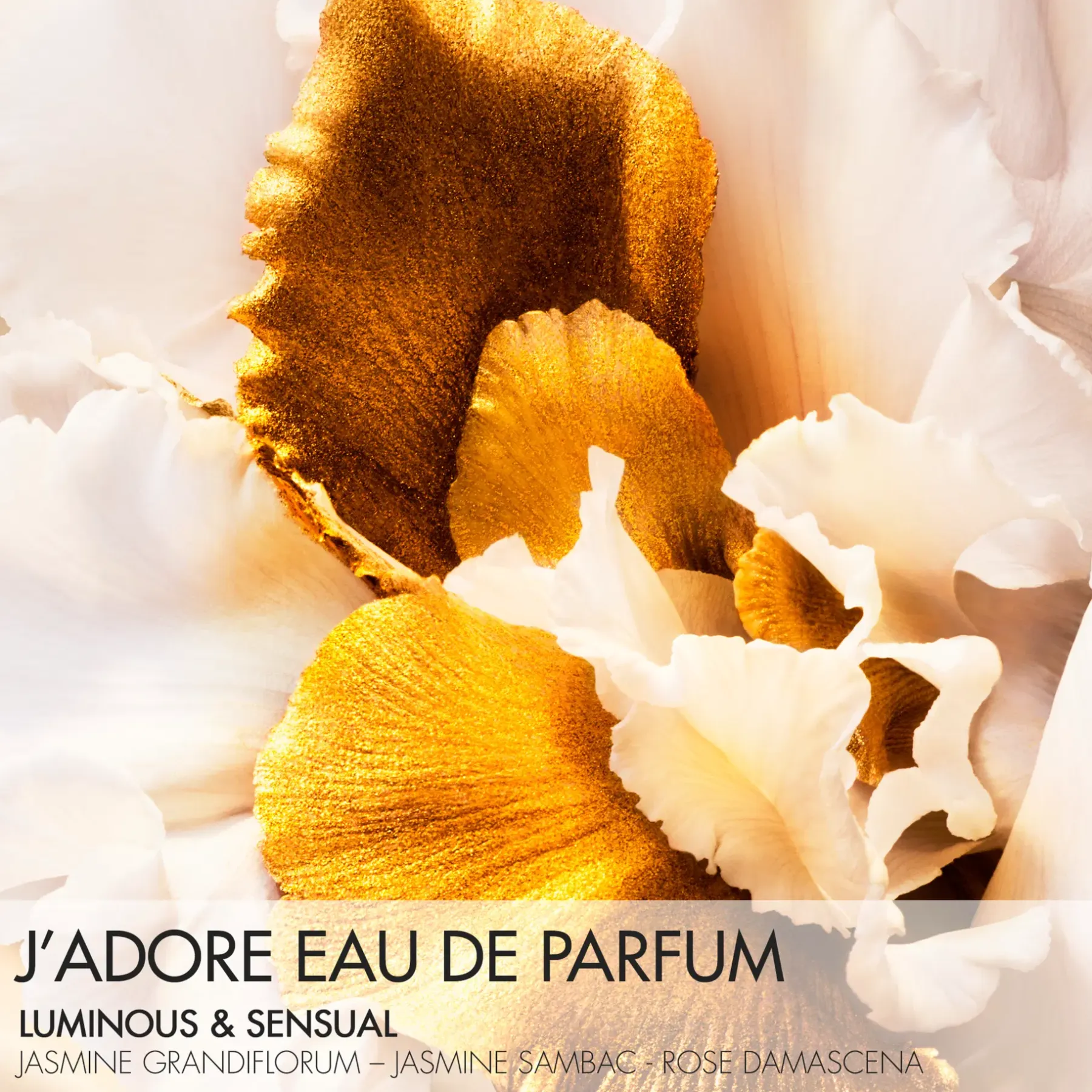 DIOR Hajuvedet<J'Adore Eau de Parfum 50ml