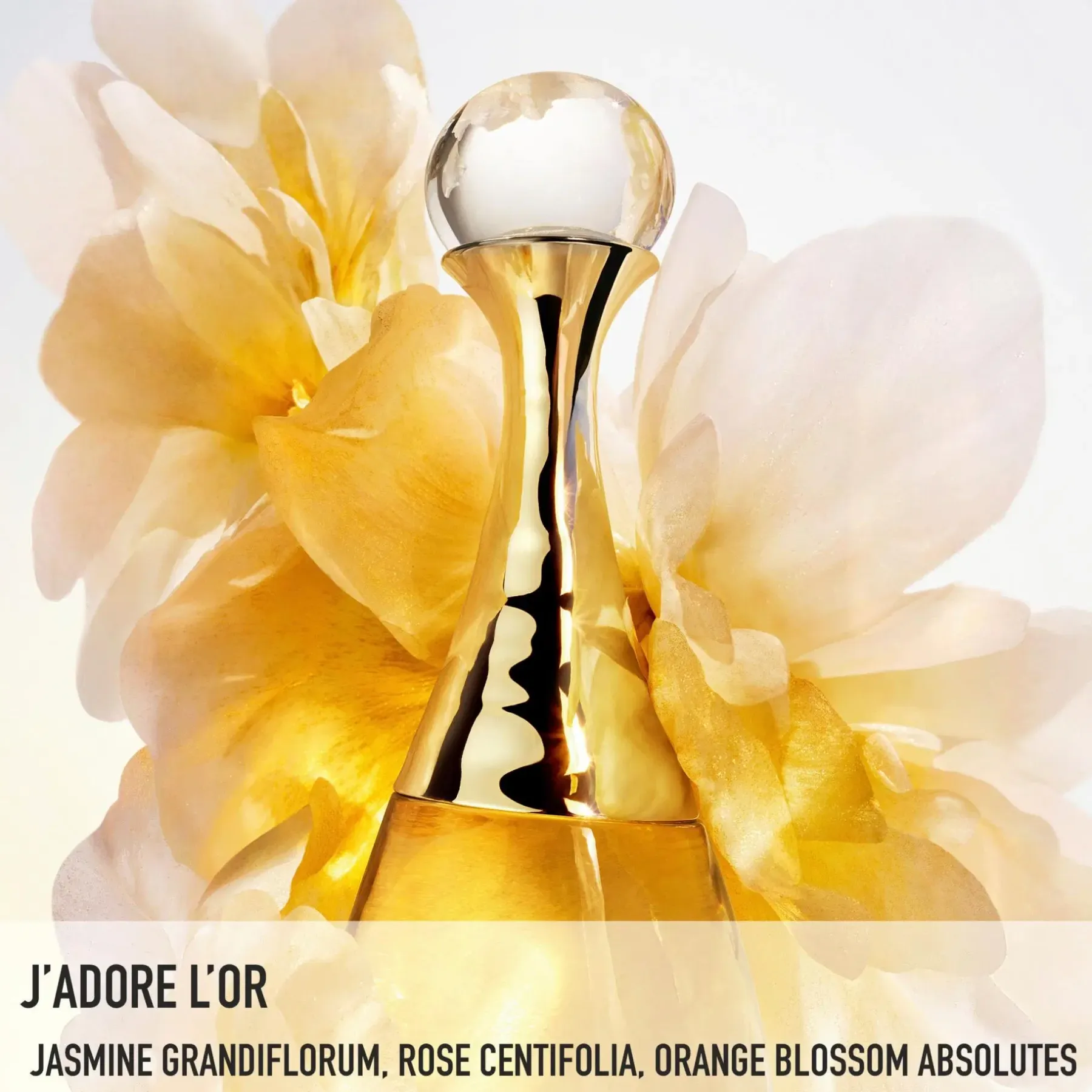 DIOR Hajuvedet<J'adore L'or Fragrance with Floral Notes Essence de Parfum tuoksu 50 ml