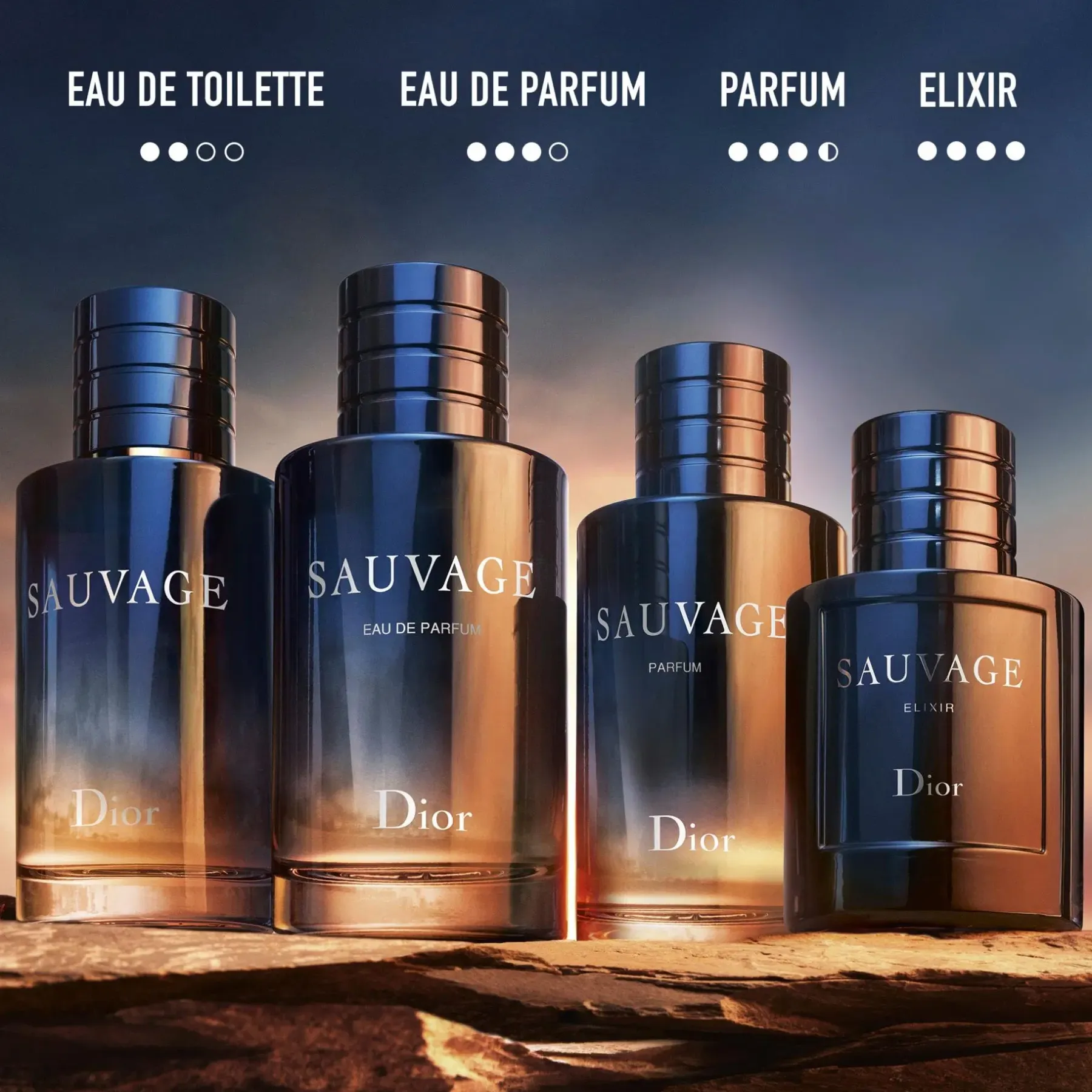 DIOR Tuoksut<Sauvage Elixir EdP tuoksu 60 ml