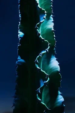 DIOR Ihonhoito|Tuoksut<Sauvage The Cleanser Powered by Cactus kasvojenpuhdistusaine 125 ml