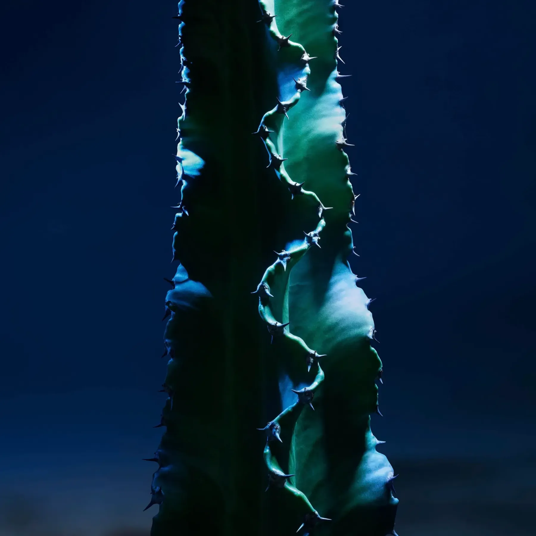 DIOR Ihonhoito|Tuoksut<Sauvage The Toner Powered by Cactus kasvovesi 100 ml