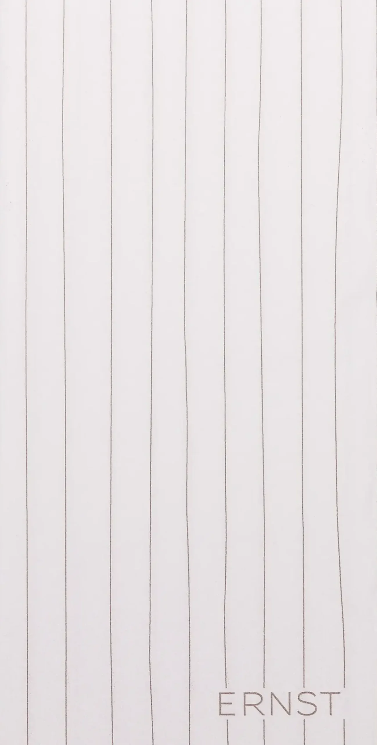 ERNST Servetit Ja Lautasliinat<paperiservetti 10x20cm valkoinen/harmaa raita 20 kpl