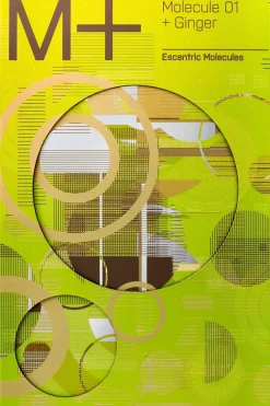 Escentric Molecules Tuoksut<molecule 01 + ginger edt 100 ml