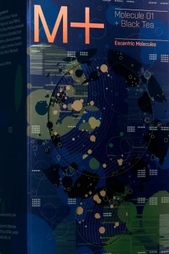 Best molecule 01 + black tea edt 100 ml Tuoksut