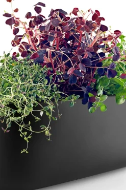 Online altakasteleva yrttilaatikko Kukkaruukut|Keittiötyövälineet