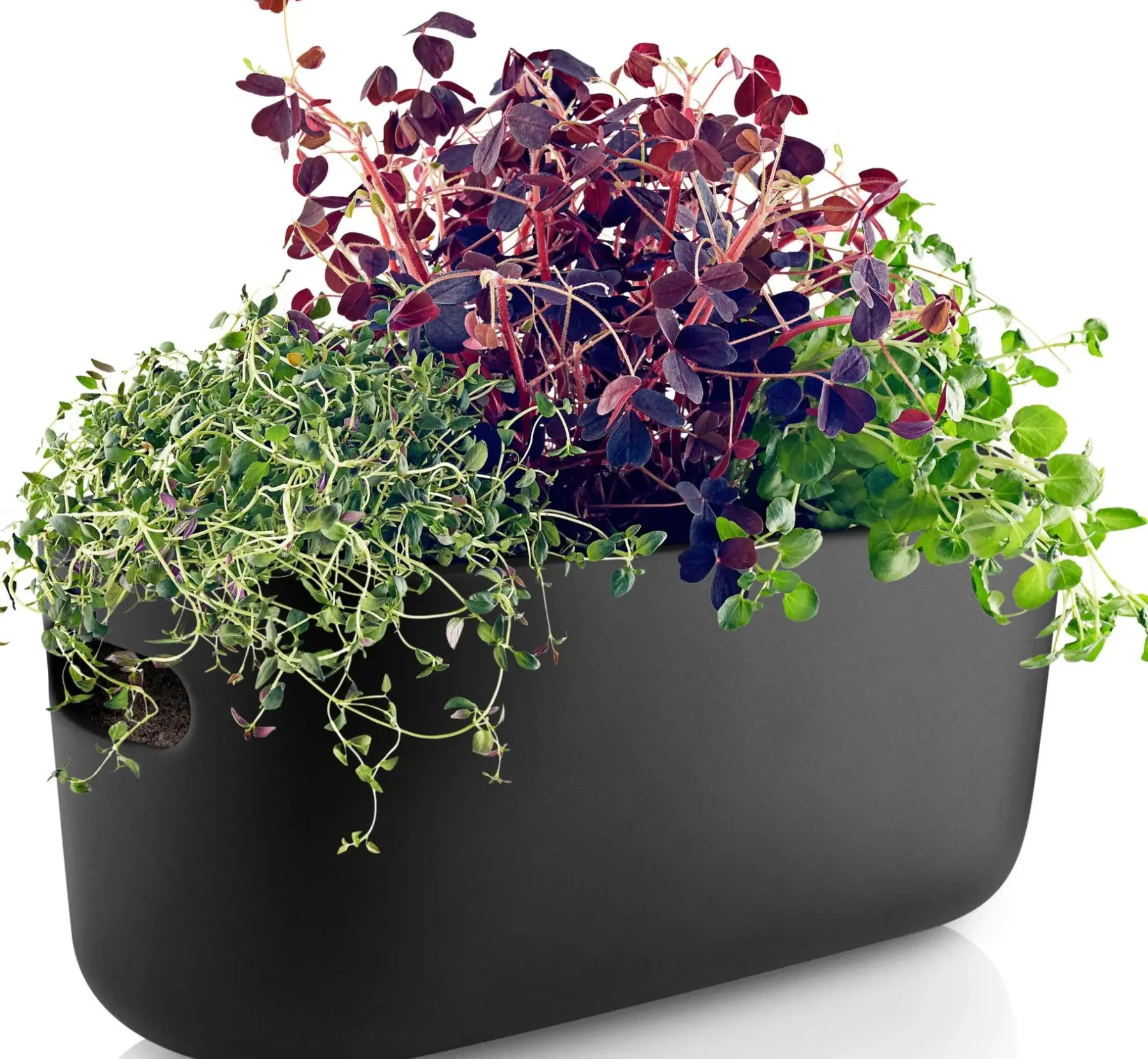 Online altakasteleva yrttilaatikko Kukkaruukut|Keittiötyövälineet