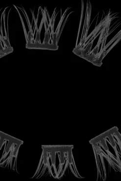 Eylure Silmämeikit<Underlash Natural Clusters-irtoripset