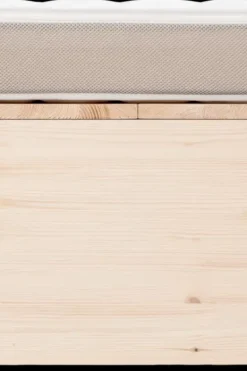 Familon Patjat Ja Sijauspatjat<Lux sijauspatja 90x200x12 cm