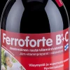 Ferroforte Kivennäis- Ja Hivenaineet<B + C vahva nestemäinen rauta-vitamiinivalmiste 500 ml