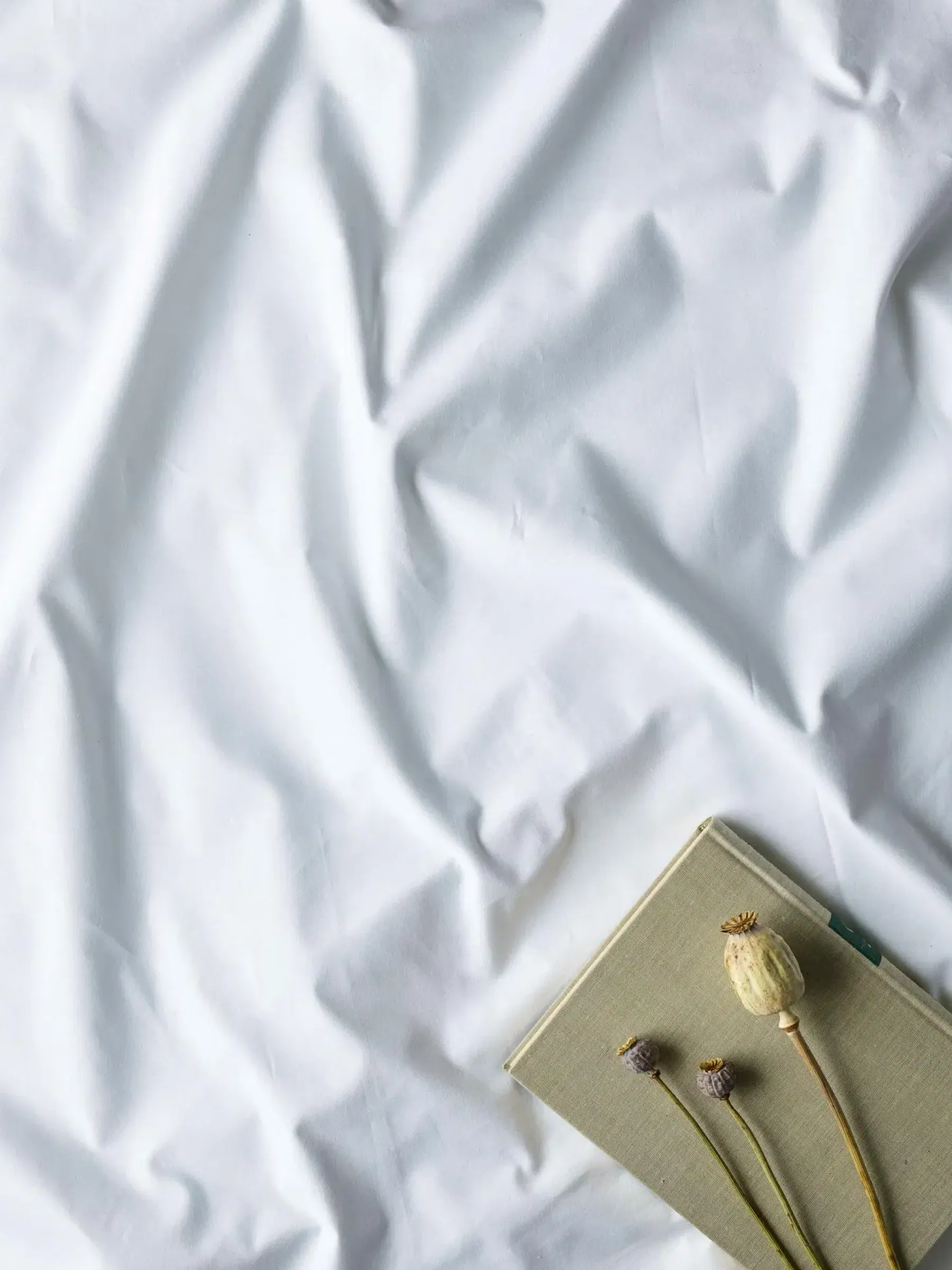 Hot aluslakana Cotton 150x270 cm Lakanat