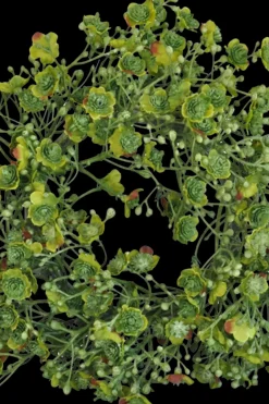 Finnmari Koriste-esineet<Harsokranssi 22 cm vihreä