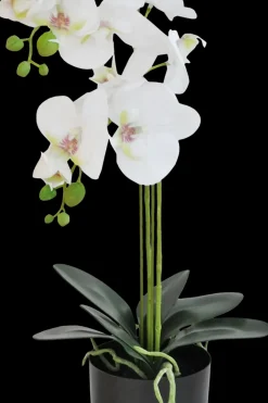 Online orkidea 55 cm ruukussa valkoinen Koriste-esineet