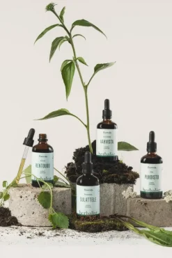 Frantsila Erityisvalmisteet<Puhdistu kasviuute, ravintolisä 100 ml