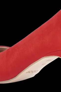 Best avokkaat Avokkaat