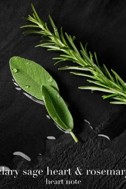 Discount Giorgio Acqua di Gio Parfum tuoksu 50 ml Tuoksut