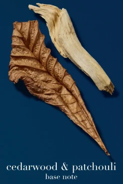 Armani Tuoksut<Giorgio Acqua di Gio Profondo EdP tuoksu 30 ml