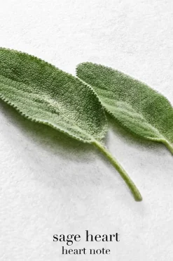 Armani Tuoksut<Giorgio Acqua di Giò EdP tuoksu 50 ml