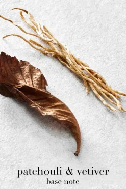 Armani Tuoksut<Giorgio Acqua di Giò EdP tuoksu 50 ml