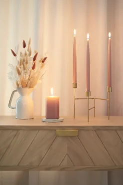 Hot antiikkikynttilä magnolia 28cm 4 kpl 8 h Kynttilät