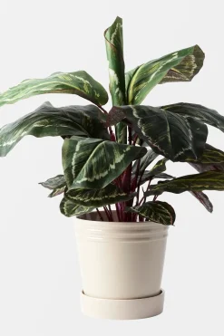 Online Åhlens Home Alve ruukku M beige Kukkaruukut