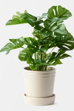 Åhléns Kukkaruukut<Åhlens Home Alve ruukku S beige