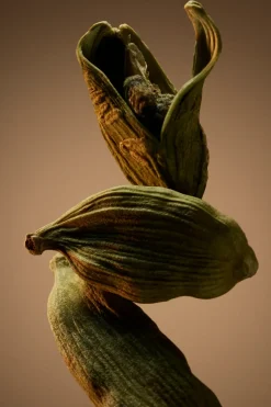 BOSS tuoksut Tuoksut<Hugo Boss Bottled for Men EdP tuoksu 50 ml