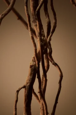 BOSS tuoksut Tuoksut<Hugo Boss Bottled for Men EdP tuoksu 50 ml