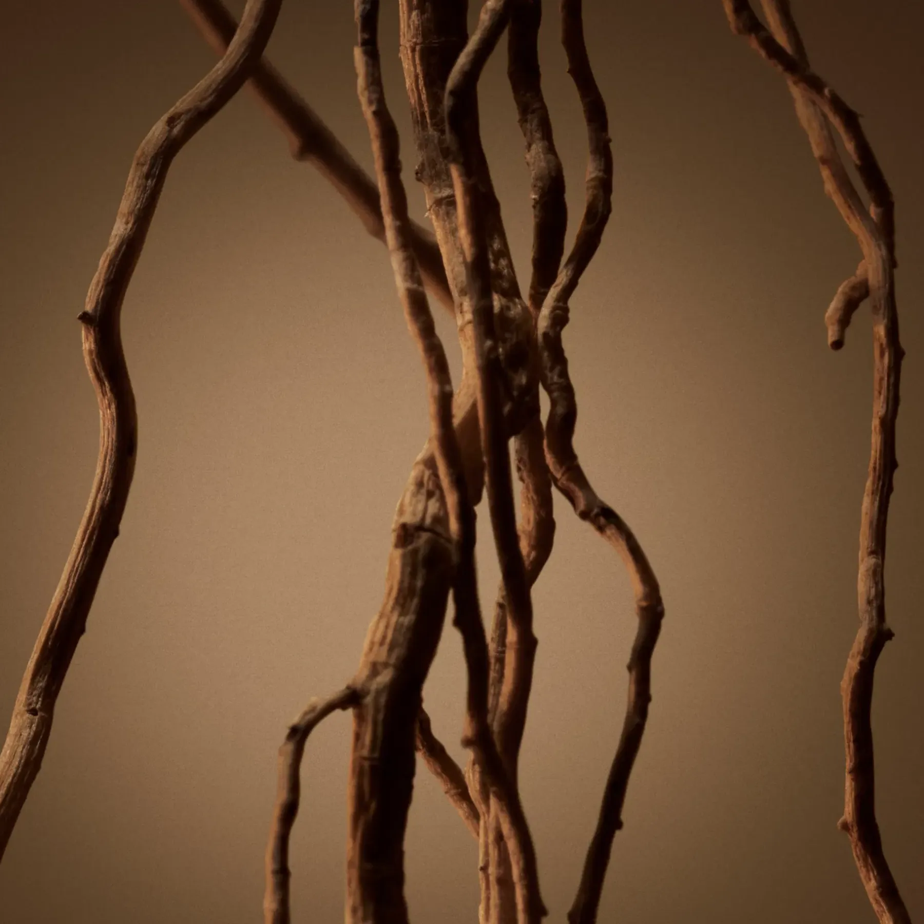 BOSS tuoksut Tuoksut<Hugo Boss Bottled for Men EdP tuoksu 50 ml