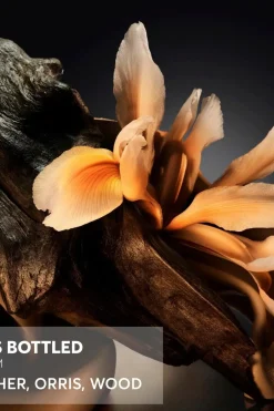 BOSS tuoksut Tuoksut<Hugo Boss Bottled Parfum tuoksu 50 ml