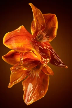 Discount Hugo Boss The Scent Intense for Her EdP 50 ml -tuoksu Hajuvedet